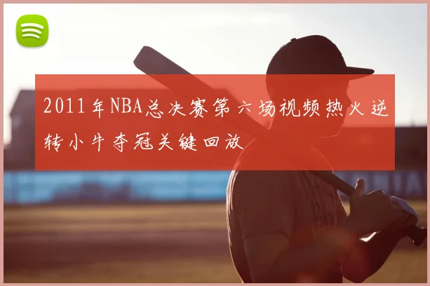 2011年NBA总决赛第六场视频热火逆转小牛夺冠关键回放