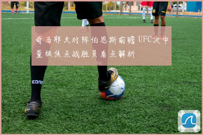 奇马耶夫对阵伯恩斯前瞻 UFC次中量级焦点战胜负看点解析