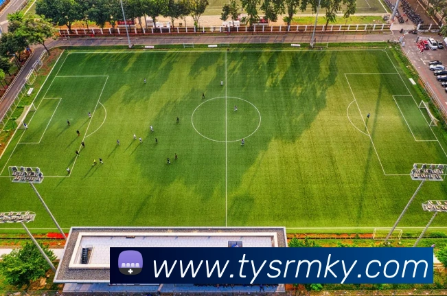 开云手机在线登陆入口发展历程